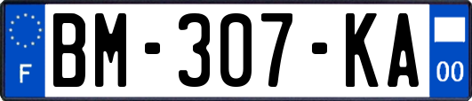 BM-307-KA