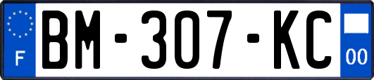 BM-307-KC