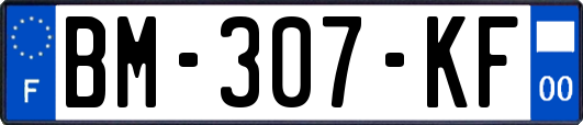 BM-307-KF