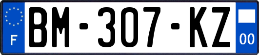 BM-307-KZ