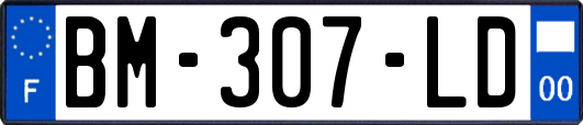 BM-307-LD