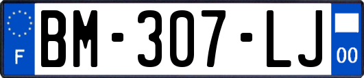 BM-307-LJ