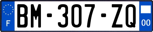 BM-307-ZQ