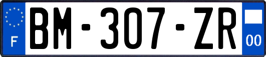 BM-307-ZR