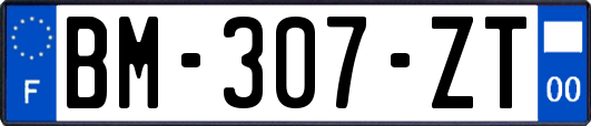 BM-307-ZT