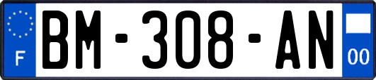 BM-308-AN