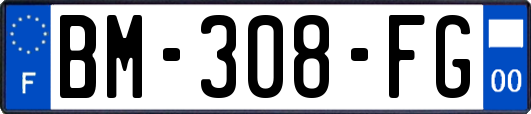 BM-308-FG