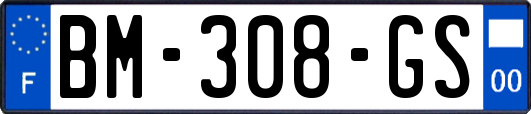 BM-308-GS