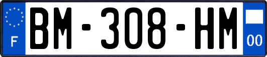 BM-308-HM