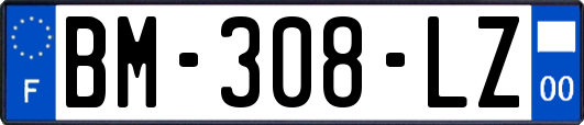 BM-308-LZ