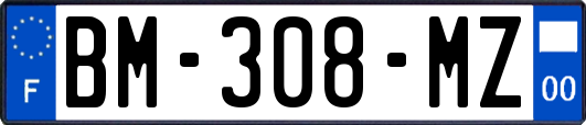 BM-308-MZ