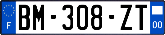 BM-308-ZT