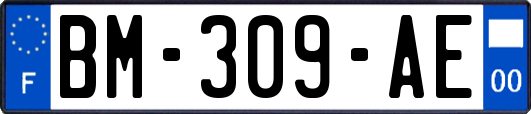 BM-309-AE