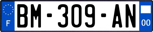 BM-309-AN