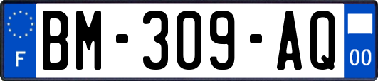 BM-309-AQ