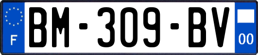 BM-309-BV