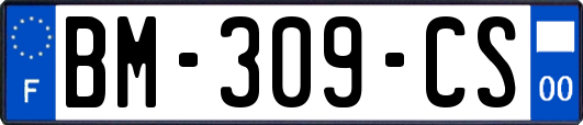 BM-309-CS