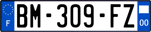 BM-309-FZ