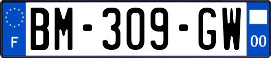 BM-309-GW