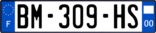 BM-309-HS