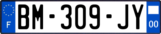 BM-309-JY