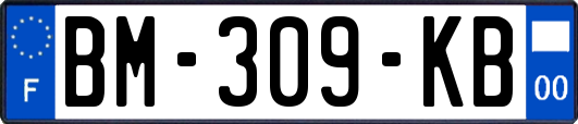 BM-309-KB