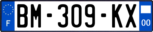BM-309-KX
