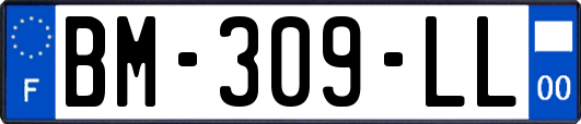 BM-309-LL
