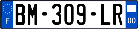 BM-309-LR