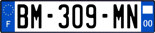 BM-309-MN