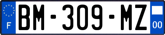 BM-309-MZ