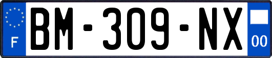 BM-309-NX