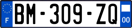 BM-309-ZQ