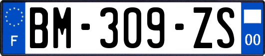 BM-309-ZS