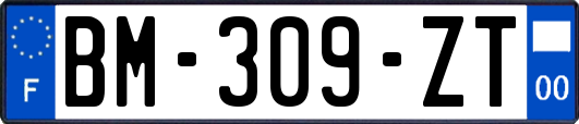 BM-309-ZT