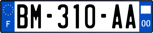 BM-310-AA