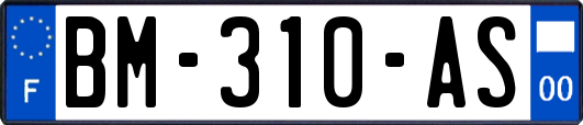 BM-310-AS