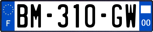 BM-310-GW