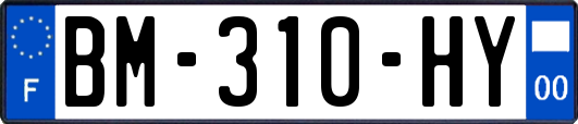 BM-310-HY