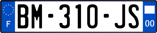 BM-310-JS