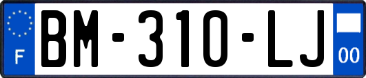 BM-310-LJ