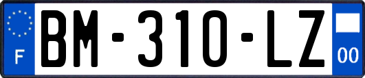 BM-310-LZ