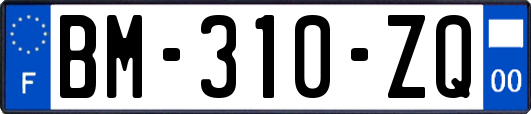 BM-310-ZQ