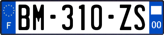 BM-310-ZS