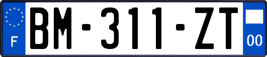 BM-311-ZT