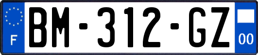 BM-312-GZ