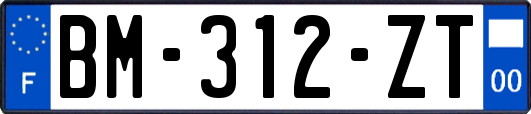 BM-312-ZT