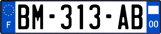 BM-313-AB