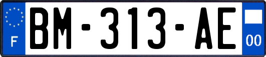 BM-313-AE