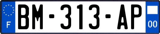 BM-313-AP